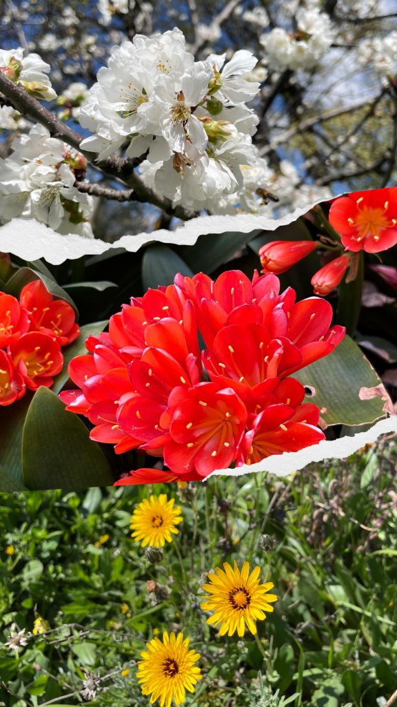 Colores de la primavera - Pulvilos: Textiles para el hogar